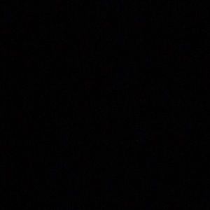 Meet your Posher, Pat